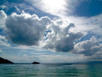 Программа на здоровье!