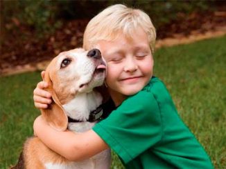 Самые подходящие домашние животные для вашего ребенка