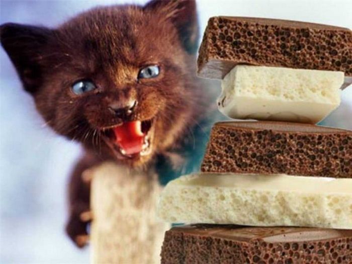 Садоводство под луной - феномен, который нужно попробовать