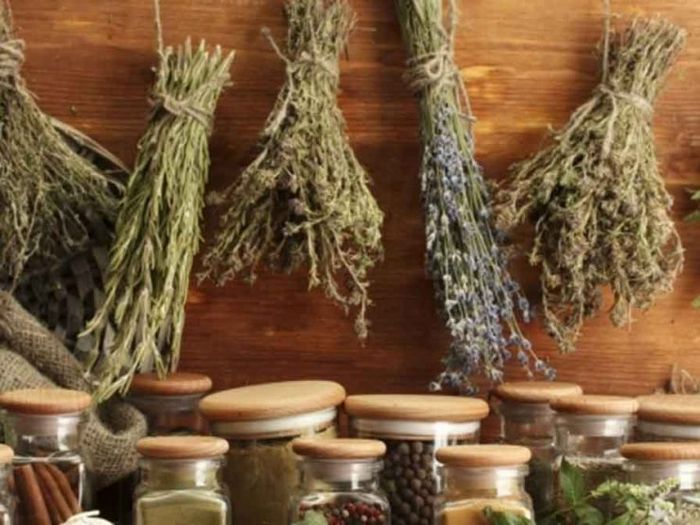 Травы и специи - малоизвестные полезные свойства