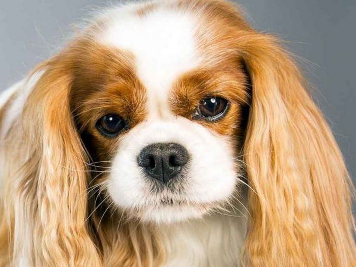 Самое популярное нижнее белье