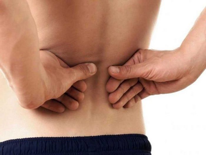 Лечение почек травами