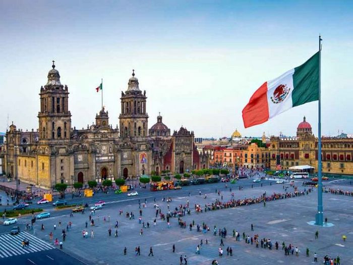 Эти двое друзей пожертвовали более 350 растений изолированным пожилым людям во время пандемии