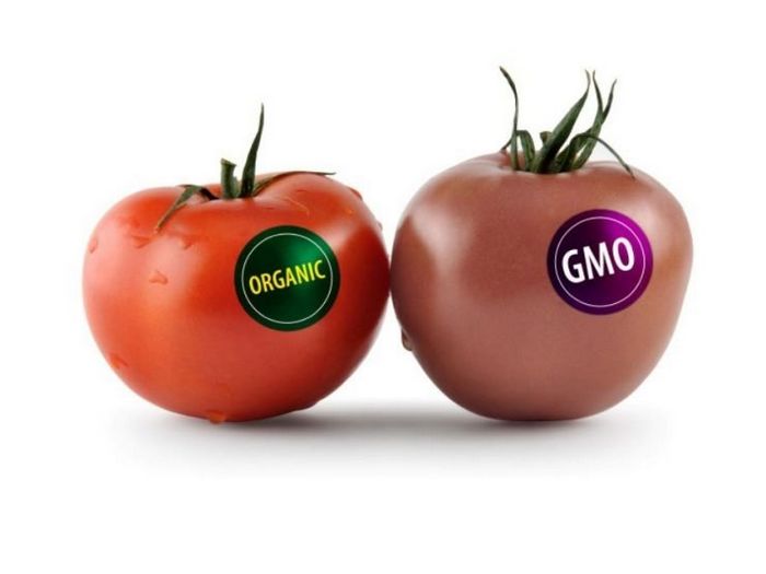Гмо - опасны или нет?