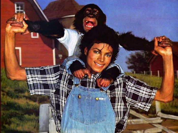 Как вырастить укроп для красоты сада и соленья