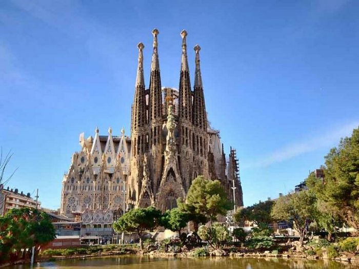 Первые дни золотой розы - 2015