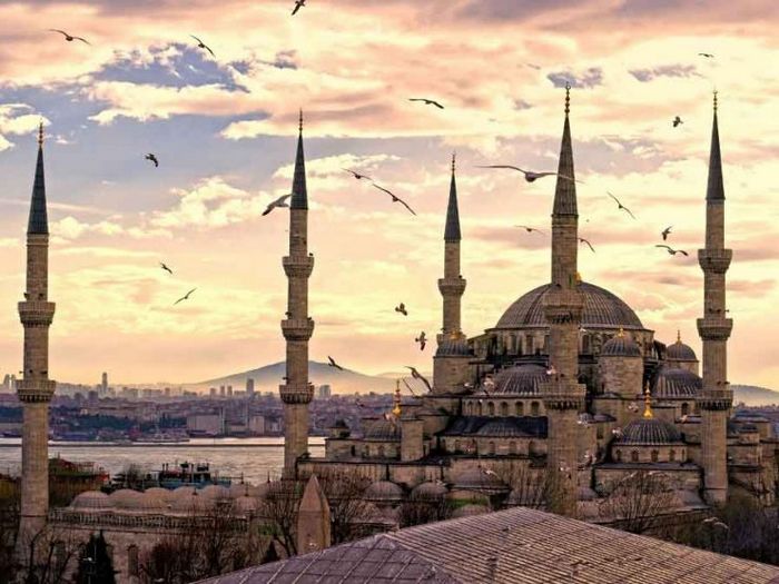 5 Способов использовать масло иланг-иланг с головы до пят