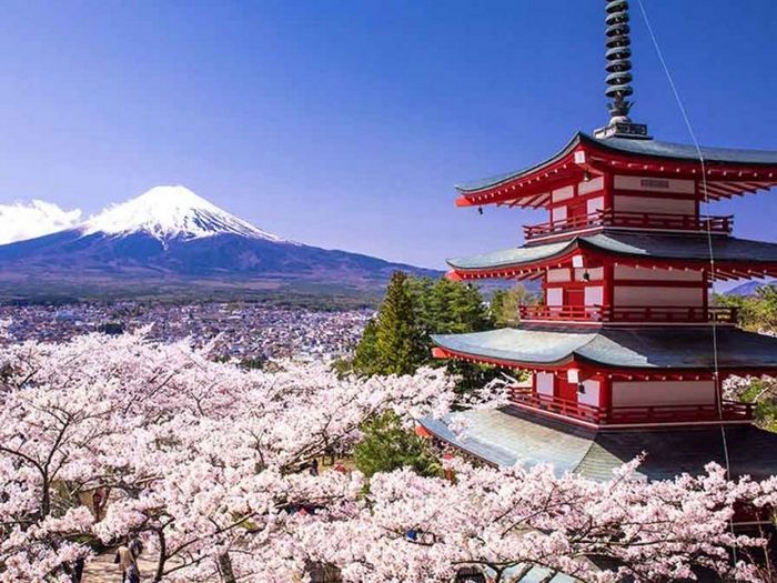 Музыкальные вкусы - тема для дружеского разговора