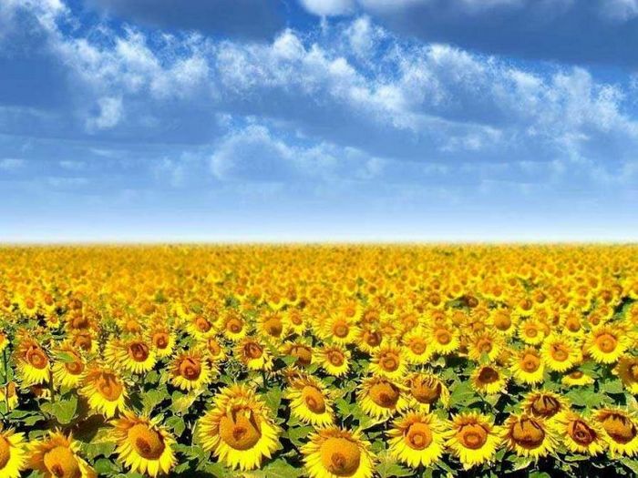 Вдох… выдох…