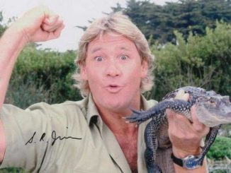 Стив ирвин - незабываемый охотник на крокодилов