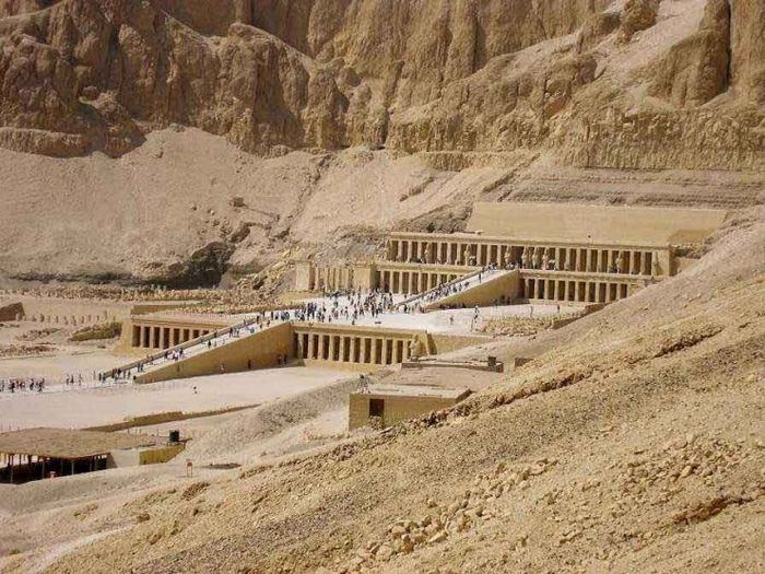 Рецепты из крыжовника - для джема, торта и пирога