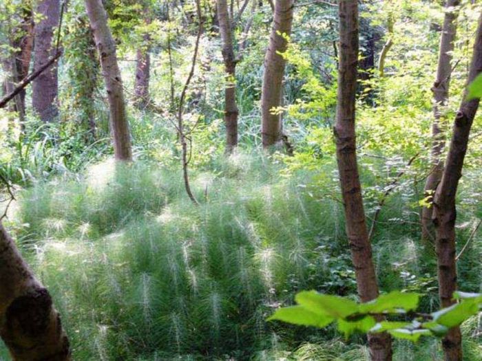 Албена-заповедник и море