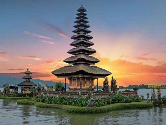 Beyond meat partners everfi запускает онлайн-курс по устойчивому развитию