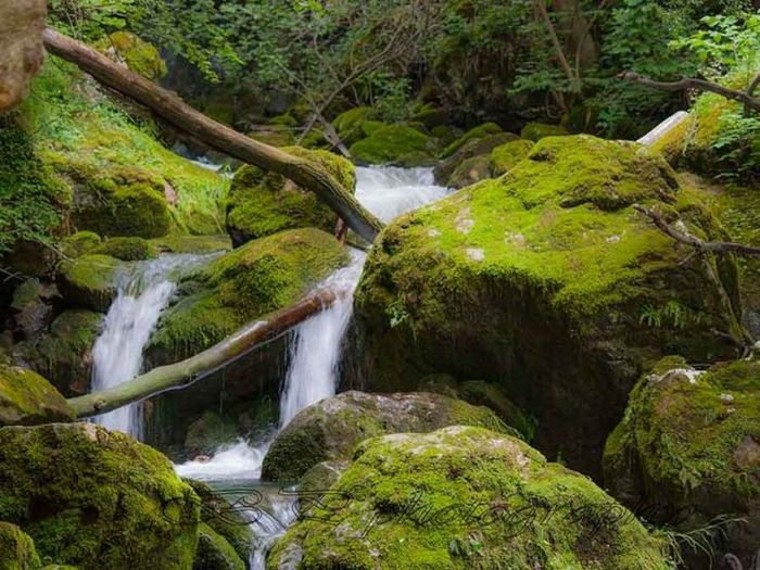 Эко-тропы в болгарии: возле эмена, труна, мельника, смоляна и бова