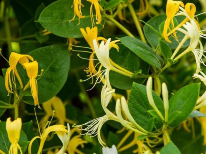 50 Великих фильмов - 50 вечных цитат