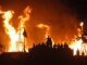 Бездыханного человека в луже крови обнаружили на фестивале Burning Man в США