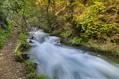 Купающегося в шторм туриста унесло течением на глазах у жены и детей