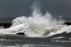 Россиянин проигнорировал большие волны во Вьетнаме и оказался унесенным на глубину