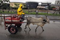 В России высказались о запрете ЕС на оказание туруслуг в стране