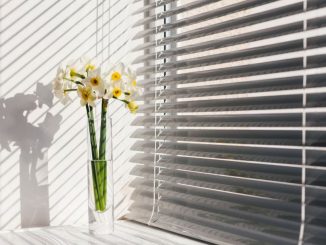Жалюзи в квартире: современный взгляд на контроль света и приватность