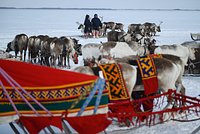 Блогер описал цены в самом дорогом городе России фразой &laquo;сводит челюсти&raquo;