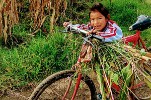 Блогерша описала еду в Латинской Америке фразой &laquo;опасно для русского туриста&raquo;