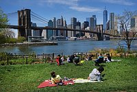 Блогерша описала жизнь в русском квартале в США фразой &laquo;будто попадаешь в "Бригаду"&raquo;