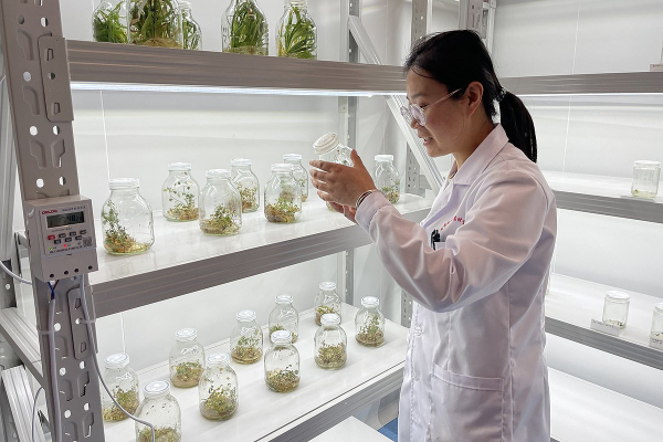 Летящая лошадь, храм-муравейник и лапша. Россияне массово едут в самый закрытый район Китая. Почему там нужно непременно побывать?