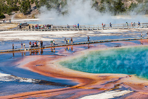 Мужчина отправился поплавать в море и заразился плотоядными бактериями