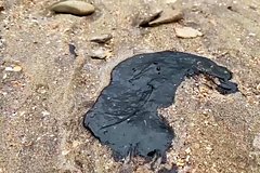 Отдыхающие на дальневосточной бухте туристы покрылись мазутом
