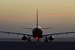 Пассажирский самолет с россиянами на борту прервал взлет из-за птицы