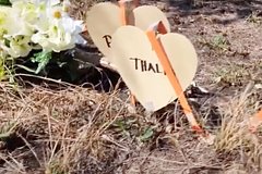 Пять девушек отправились отметить день рождения в домик у озера и не выжили