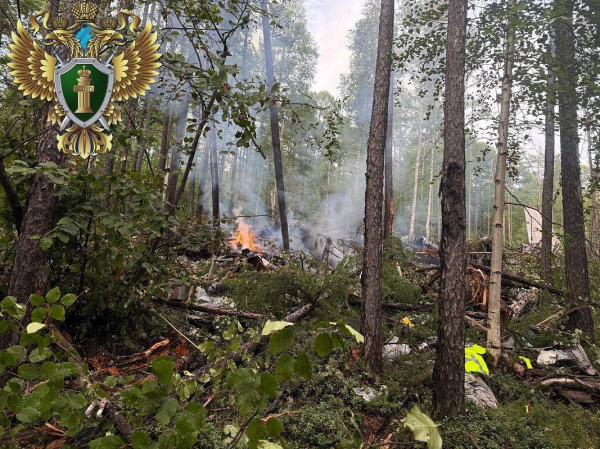 Появился первый снимок с места крушения Ан-24. Как выглядят обломки после катастрофы, в которой никто не выжил