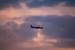 Россияне устроили драку на борту самолета из-за надписи на футболке женщины Россияне устроили драку на борту самолета из-за надписи на футболке женщины