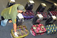 Россиянин планировал вывезти в Турцию чертежи скрипок и попал под уголовное дело
