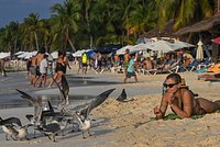 Россиянка описала отдых в Египте фразой &laquo;не летите, если вы не готовы смириться с этим&raquo;