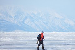 Стало известно о вреде туризма для Антарктиды