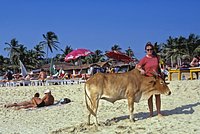 Тягач врезался в широкофюзеляжный Boeing и помял его