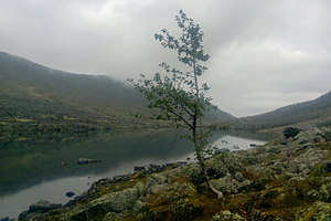 Турист решил покорить вершину в Европе и сорвался вниз на глазах у других альпинистов