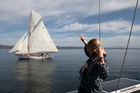 Туриста сбросили на скалы в Севастополе из-за конфликта на дороге