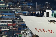 В правительстве рассказали о желании расширить морское сообщение с КНДР